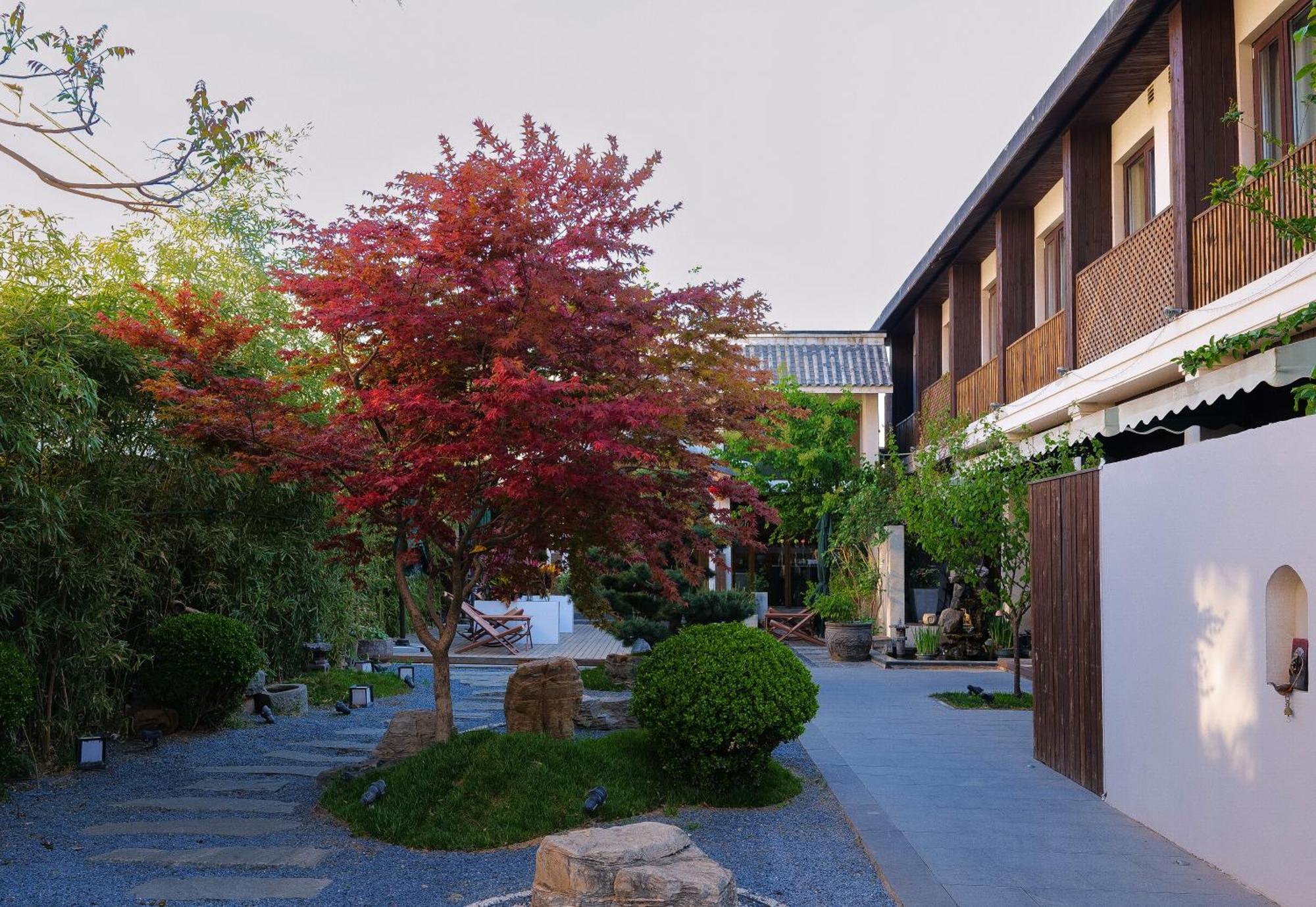Dasein Youlan Hotel-Near The Forbidden City, Tiananmen Square, Guijie Street, Beihai Park, Jingshan Park, And Yonghe Temple Beijing Luaran gambar